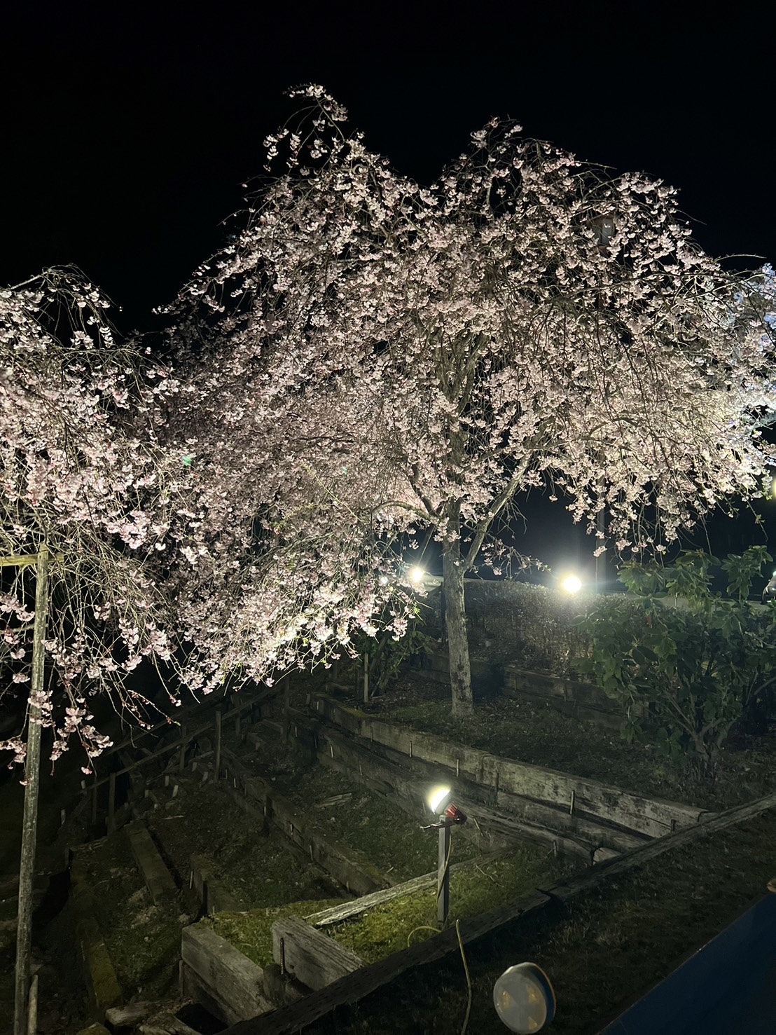 美容師の休日